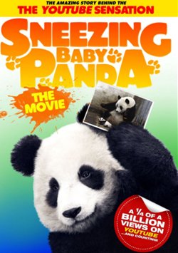 Bebek Panda - Sneezing Baby Panda